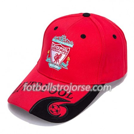 Liverpool Kepsar 2019-2020